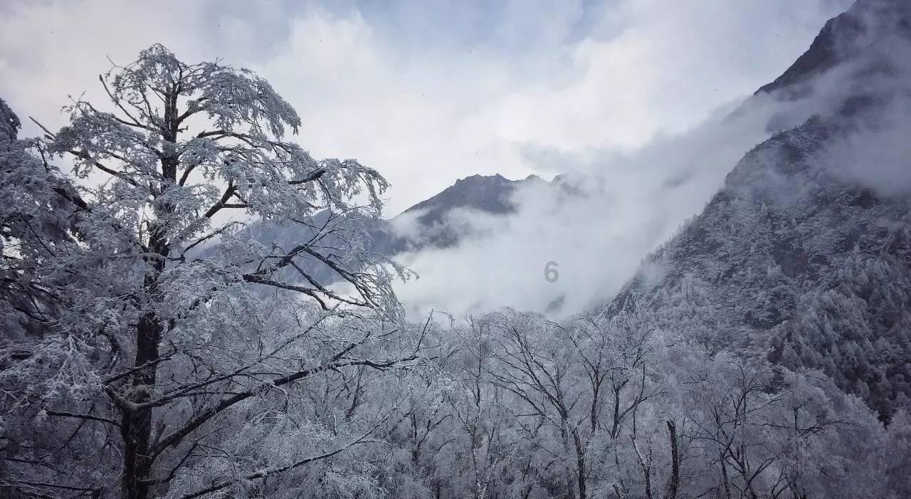 雨天旅行