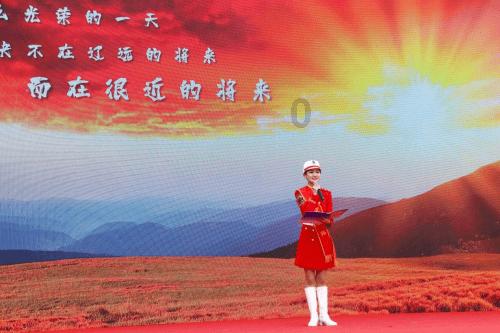 来自印度的狗妈妈和狗宝宝被救助感人的故事