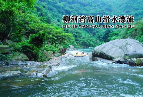 蛋糕物语